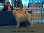 Filename=B-HighHopes.jpg
Filesize=52KiB
Dimensions=600x450
Date added=Sep 14, 2009 B-HighHopes.jpg