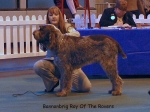 Filename=B-RoyOfTheRovers.jpg
Filesize=54KiB
Dimensions=600x450
Date added=Sep 14, 2009 B-RoyOfTheRovers.jpg