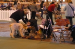 Filename=Ben1.JPG
Filesize=1782KiB
Dimensions=2048x1360
Date added=Sep 14, 2009 Ben1.JPG