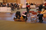 Filename=Ben2.JPG
Filesize=1772KiB
Dimensions=2048x1360
Date added=Sep 14, 2009 Ben2.JPG