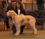 Filename=J-AllThatJazz.jpg
Filesize=60KiB
Dimensions=600x527
Date added=Sep 14, 2009 J-AllThatJazz.jpg