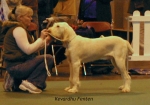 Dateiname=K-Fenten.jpg
Dateigröße=50KB
Abmessungen: 600x421
hinzugefügt am: 14. September 2009 K-Fenten.jpg