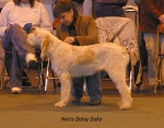 Filename=N-DaisyDuke.jpg
Filesize=50KiB
Dimensions=600x471
Date added=Sep 14, 2009 N-DaisyDuke.jpg