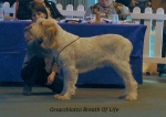 Filename=O-BreathOfLife.jpg
Filesize=58KiB
Dimensions=600x427
Date added=Sep 14, 2009 O-BreathOfLife.jpg