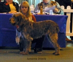 Dateiname=S-Ottavia.jpg
Dateigröße=54KB
Abmessungen: 600x514
hinzugefügt am: 14. September 2009 S-Ottavia.jpg