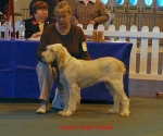 Filename=W-RubyTuesday.jpg
Filesize=57KiB
Dimensions=600x503
Date added=Sep 14, 2009 W-RubyTuesday.jpg