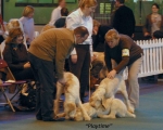Filename=playtime-2.jpg
Filesize=52KiB
Dimensions=600x483
Date added=Sep 14, 2009 playtime-2.jpg