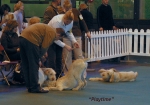 Filename=playtime-3.jpg
Filesize=59KiB
Dimensions=600x421
Date added=Sep 14, 2009 playtime-3.jpg