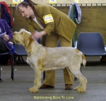 Filename=B-BornToLove.jpg
Filesize=54KiB
Dimensions=600x573
Date added=Sep 14, 2009 B-BornToLove.jpg