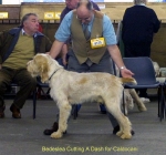 Filename=B-CuttingADash.jpg
Filesize=54KiB
Dimensions=600x563
Date added=Sep 14, 2009 B-CuttingADash.jpg