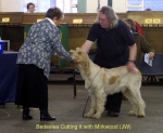 Filename=B-CuttingIt.jpg
Filesize=49KiB
Dimensions=600x495
Date added=Sep 14, 2009 B-CuttingIt.jpg