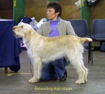 Filename=B-HighHopes.jpg
Filesize=57KiB
Dimensions=600x543
Date added=Sep 14, 2009 B-HighHopes.jpg