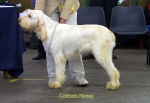 Filename=C-Noney.jpg
Filesize=56KiB
Dimensions=600x412
Date added=Sep 14, 2009 C-Noney.jpg