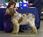 Filename=F-Laerzio.jpg
Filesize=45KiB
Dimensions=600x516
Date added=Sep 14, 2009 F-Laerzio.jpg