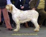 Filename=G-MagicInTheSky.jpg
Filesize=62KiB
Dimensions=600x486
Date added=Sep 14, 2009 G-MagicInTheSky.jpg