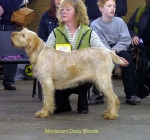 Dateiname=M-DizzyBlonde.jpg
Dateigröße=50KB
Abmessungen: 600x560
hinzugefügt am: 14. September 2009 M-DizzyBlonde.jpg