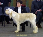 Filename=N-DixieChick.jpg
Filesize=55KiB
Dimensions=600x515
Date added=Sep 14, 2009 N-DixieChick.jpg