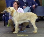 Filename=S-Nettezza.jpg
Filesize=48KiB
Dimensions=600x514
Date added=Sep 14, 2009 S-Nettezza.jpg