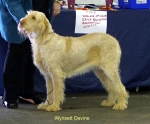 Filename=W-Devine.jpg
Filesize=47KiB
Dimensions=600x497
Date added=Sep 14, 2009 W-Devine.jpg