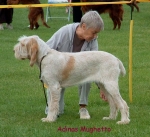 Filename=A-Mughetto.jpg
Filesize=73KiB
Dimensions=600x550
Date added=Sep 14, 2009 A-Mughetto.jpg