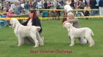 Filename=BV-Challenge.jpg
Filesize=103KiB
Dimensions=800x450
Date added=Sep 14, 2009 BV-Challenge.jpg