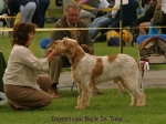 Filename=I-BackInTime.jpg
Filesize=52KiB
Dimensions=600x450
Date added=Sep 14, 2009 I-BackInTime.jpg