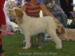 Filename=B-Alfetta.jpg
Filesize=59KiB
Dimensions=600x450
Date added=Sep 14, 2009 B-Alfetta.jpg