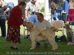 Filename=B-Boscarelli.jpg
Filesize=67KiB
Dimensions=600x450
Date added=Sep 14, 2009 B-Boscarelli.jpg