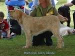 Dateiname=M-DizzyBlonde.jpg
Dateigröße=60KB
Abmessungen: 600x450
hinzugefügt am: 14. September 2009 M-DizzyBlonde.jpg