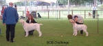 Filename=BOB Challenge.jpg
Filesize=48KiB
Dimensions=600x273
Date added=Sep 14, 2009 BOB Challenge.jpg