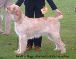 Filename=G MagicMoments.jpg
Filesize=65KiB
Dimensions=600x466
Date added=Sep 14, 2009 G MagicMoments.jpg