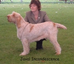 Filename=J Incandescence.jpg
Filesize=54KiB
Dimensions=547x474
Date added=Sep 14, 2009 J Incandescence.jpg