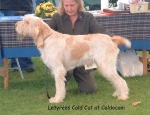 Filename=L ColdCut.jpg
Filesize=66KiB
Dimensions=600x463
Date added=Sep 14, 2009 L ColdCut.jpg