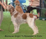 Filename=M KnightToRemember.jpg
Filesize=75KiB
Dimensions=600x509
Date added=Sep 14, 2009 M KnightToRemember.jpg