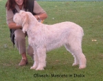 Filename=O Moscata.jpg
Filesize=65KiB
Dimensions=600x475
Date added=Sep 14, 2009 O Moscata.jpg