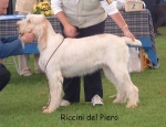 Filename=R DelPiero.jpg
Filesize=61KiB
Dimensions=600x463
Date added=Sep 14, 2009 R DelPiero.jpg