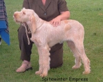 Filename=S Empress.jpg
Filesize=70KiB
Dimensions=600x478
Date added=Sep 14, 2009 S Empress.jpg