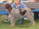 Filename=S Nyika.jpg
Filesize=67KiB
Dimensions=600x461
Date added=Sep 14, 2009 S Nyika.jpg