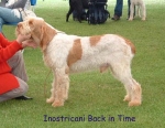Filename=I-BackInTime.jpg
Filesize=64KiB
Dimensions=600x466
Date added=Sep 14, 2009 I-BackInTime.jpg