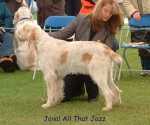 Filename=J-AllThatJazz.jpg
Filesize=76KiB
Dimensions=600x501
Date added=Sep 14, 2009 J-AllThatJazz.jpg
