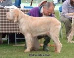 Filename=R-Rhuannon.jpg
Filesize=60KiB
Dimensions=600x470
Date added=Sep 14, 2009 R-Rhuannon.jpg