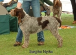 Filename=S-Nyika.jpg
Filesize=70KiB
Dimensions=600x434
Date added=Sep 14, 2009 S-Nyika.jpg