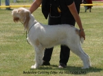 Filename=B-CuttingEdge.jpg
Filesize=46KiB
Dimensions=600x445
Date added=Sep 14, 2009 B-CuttingEdge.jpg