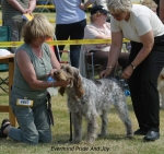 Filename=E-PrideAndJoy.jpg
Filesize=57KiB
Dimensions=600x566
Date added=Sep 14, 2009 E-PrideAndJoy.jpg