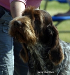 Filename=K-Whes.jpg
Filesize=50KiB
Dimensions=600x635
Date added=Sep 14, 2009 K-Whes.jpg