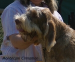 Filename=M-Cinnamon.jpg
Filesize=52KiB
Dimensions=391x324
Date added=Sep 14, 2009 M-Cinnamon.jpg