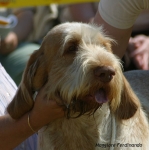 Dateiname=M-Ferdinando.jpg
Dateigröße=56KB
Abmessungen: 600x602
hinzugefügt am: 14. September 2009 M-Ferdinando.jpg