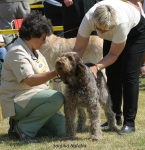 Filename=S-Natalia.jpg
Filesize=57KiB
Dimensions=600x617
Date added=Sep 14, 2009 S-Natalia.jpg