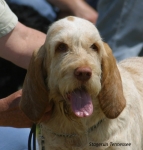 Filename=S-Tennessee-2.jpg
Filesize=51KiB
Dimensions=600x628
Date added=Sep 14, 2009 S-Tennessee-2.jpg