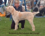 Dateiname=B Bartolomeo.jpg
Dateigröße=68KB
Abmessungen: 600x474
hinzugefügt am: 14. September 2009 B Bartolomeo.jpg